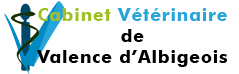 Vétérinaire