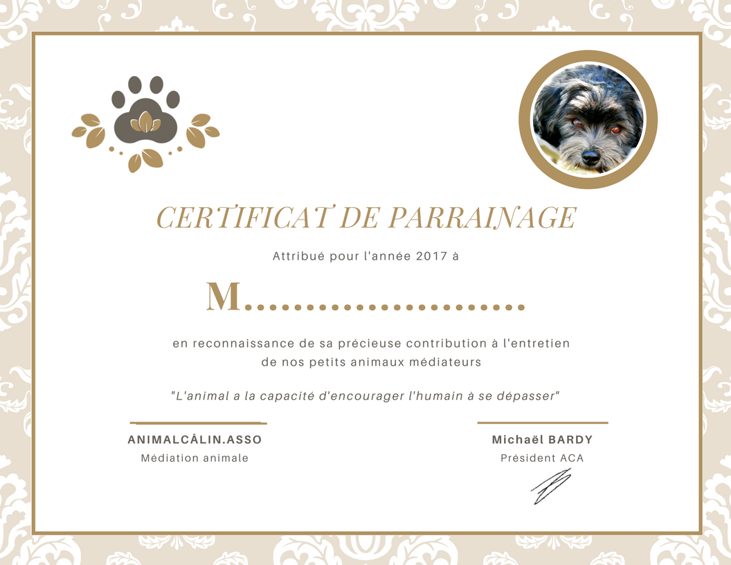 Certificat De Parrainage Civil Vierge à Imprimer