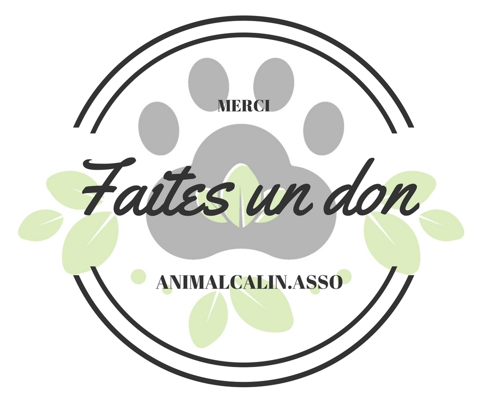 Faire un don