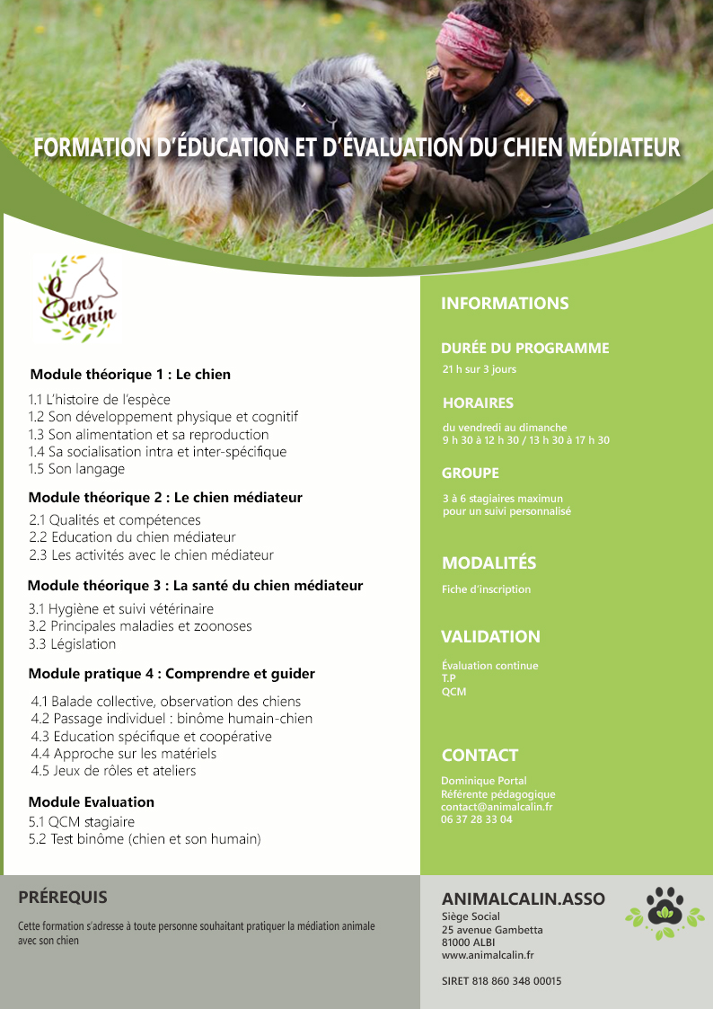 Formation validation chien médiateur