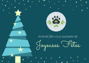 Joyeuses Fêtes